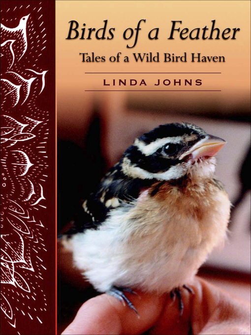 Title details for Birds of a Feather by Linda Johns - Available